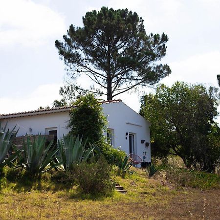 Monte Da Urze Aljezur - Agroturismo Exteriör bild