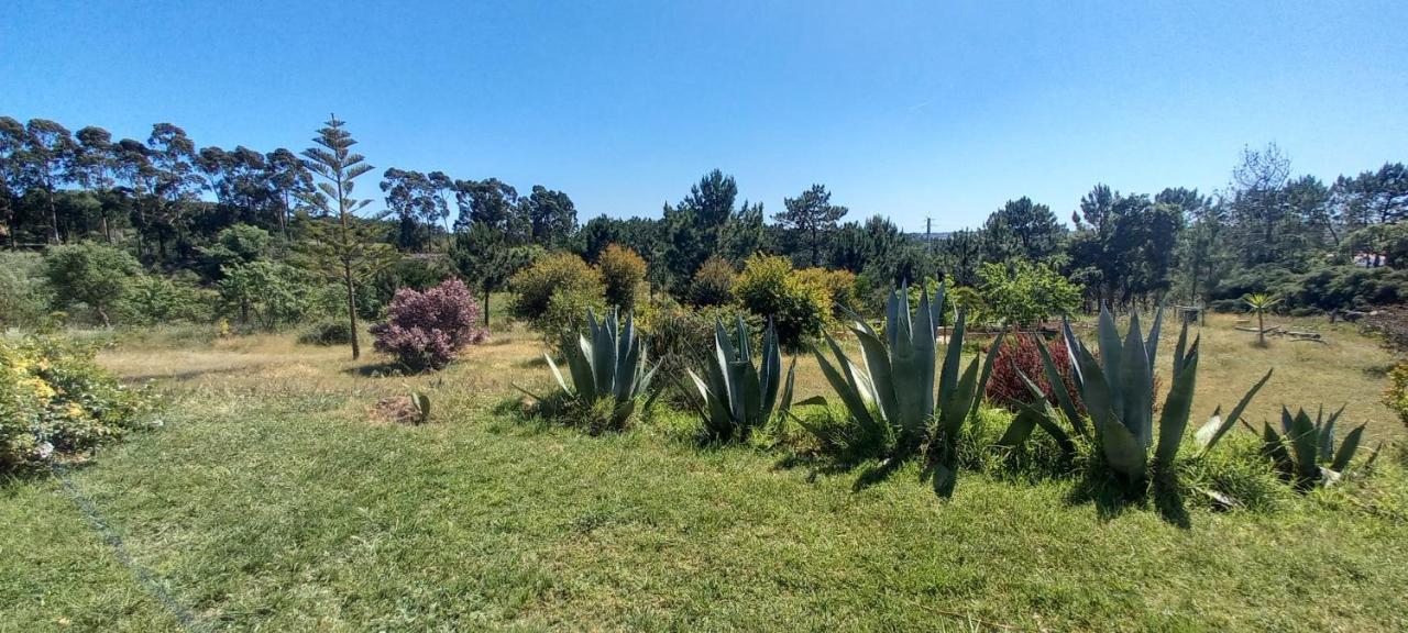 Monte Da Urze Aljezur - Agroturismo Villa Exteriör bild