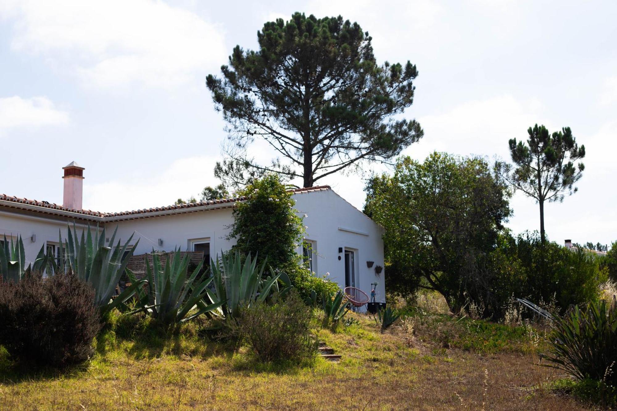 Monte Da Urze Aljezur - Agroturismo Exteriör bild